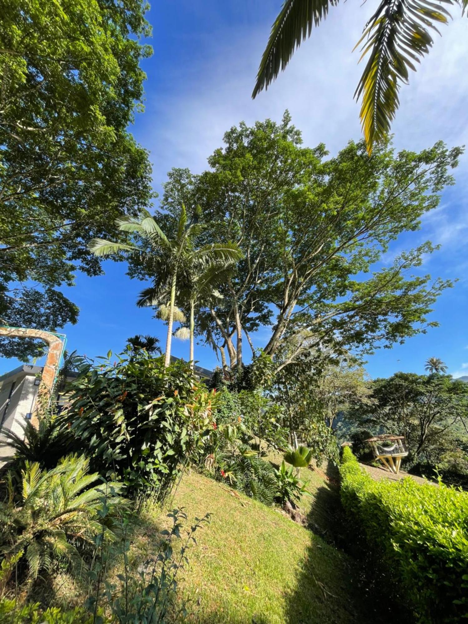 Home Boutique Natural Paradise La Vega  Exterior photo